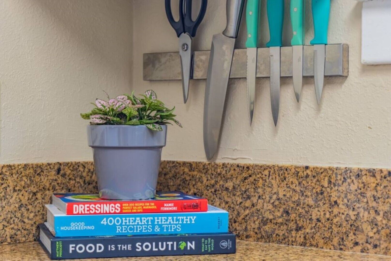 A kitchen counter with a potted plant, a set of knives, and three cookbooks.