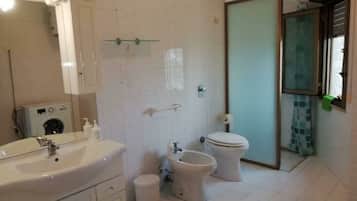 Shower, hair dryer, bidet, towels