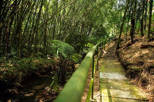 In Quimbaya Quindio Beautiful room type suite