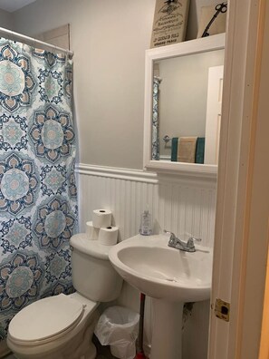 Suihkun ja ammeen yhdistelmä, hiustenkuivaaja