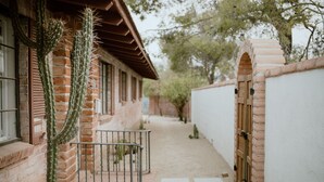 A narrow alleyway with a cactus, brick walls, and a metal gate.