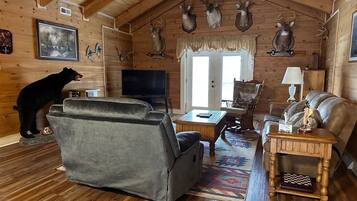 Télévision, cheminée, lecteur de DVD, livres