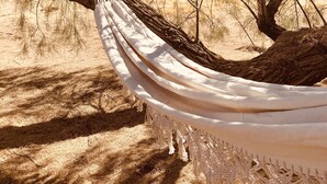 A hammock tied between two trees in a dry, open landscape with a building in the background. - Comfy Cottage With Writer Cabin and Book Nook. Pet-Friendly Fully Fenced Yard (Joshua Tree)