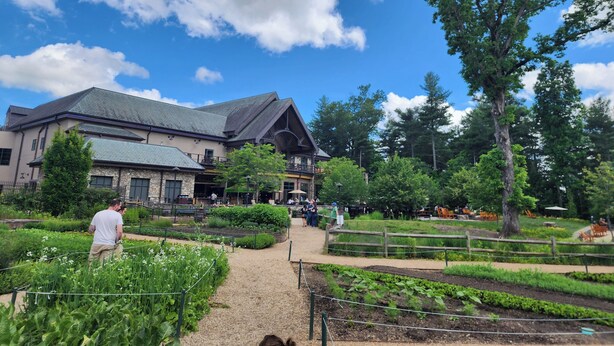 A building with a stone facade and a green roof, surrounded by a garden with various plants and a fenced pathway.