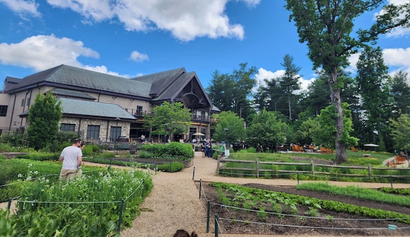 Exterior - Asheville Mt home for 2 Families-2 kitchens, living rooms-Dogs-3 Miles to DT! (Asheville)