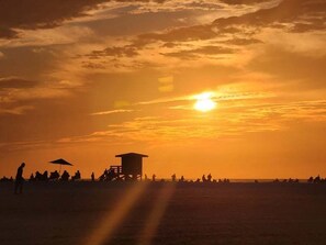 Sun-loungers, beach towels