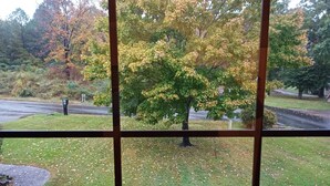 A view through a window with a tree in the foreground and a road in the background. - Welcome to Polly's Place (Rockwell)