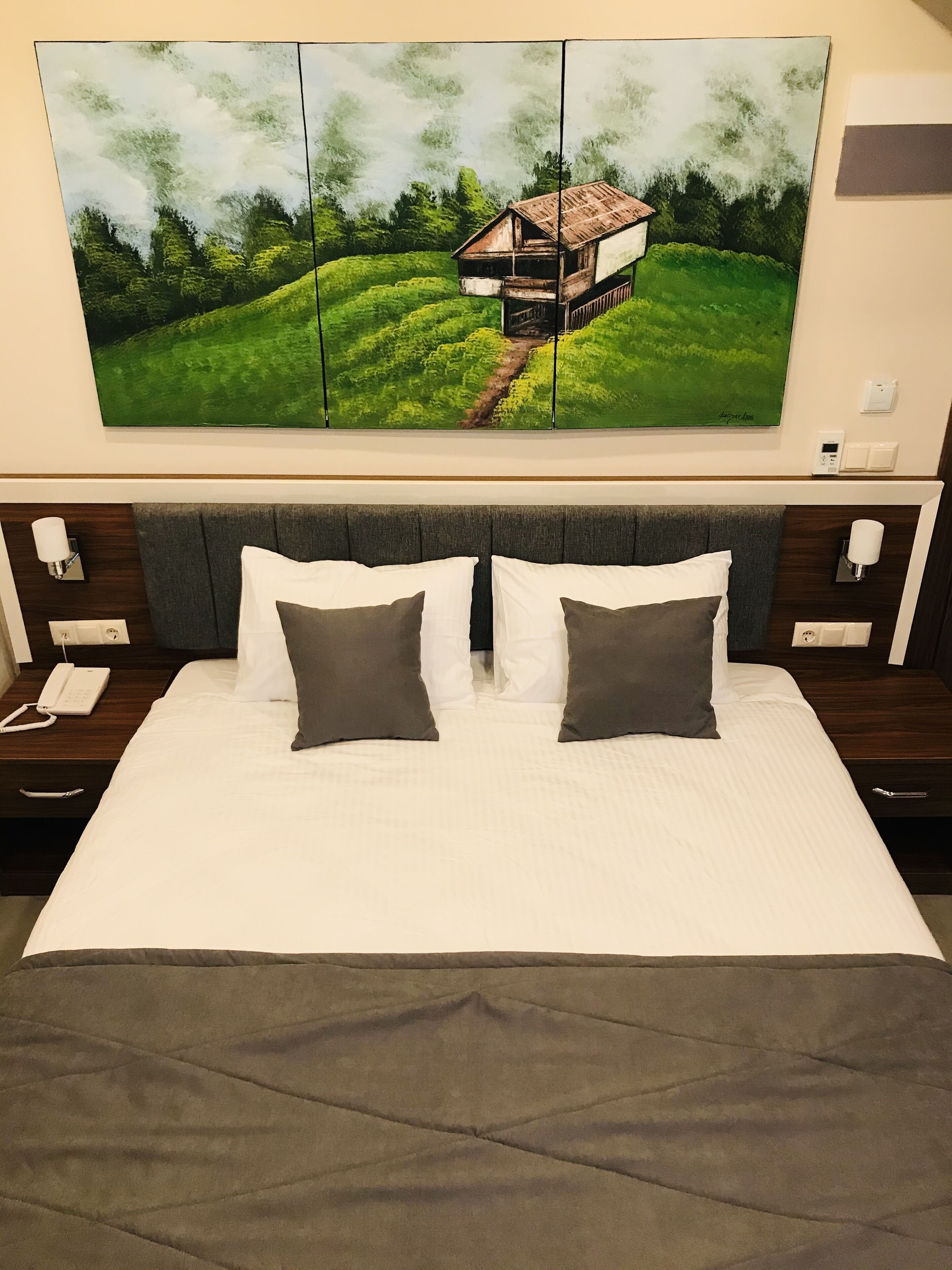 superior room | 1 bedroom, frette italian sheets, premium bedding, down duvets