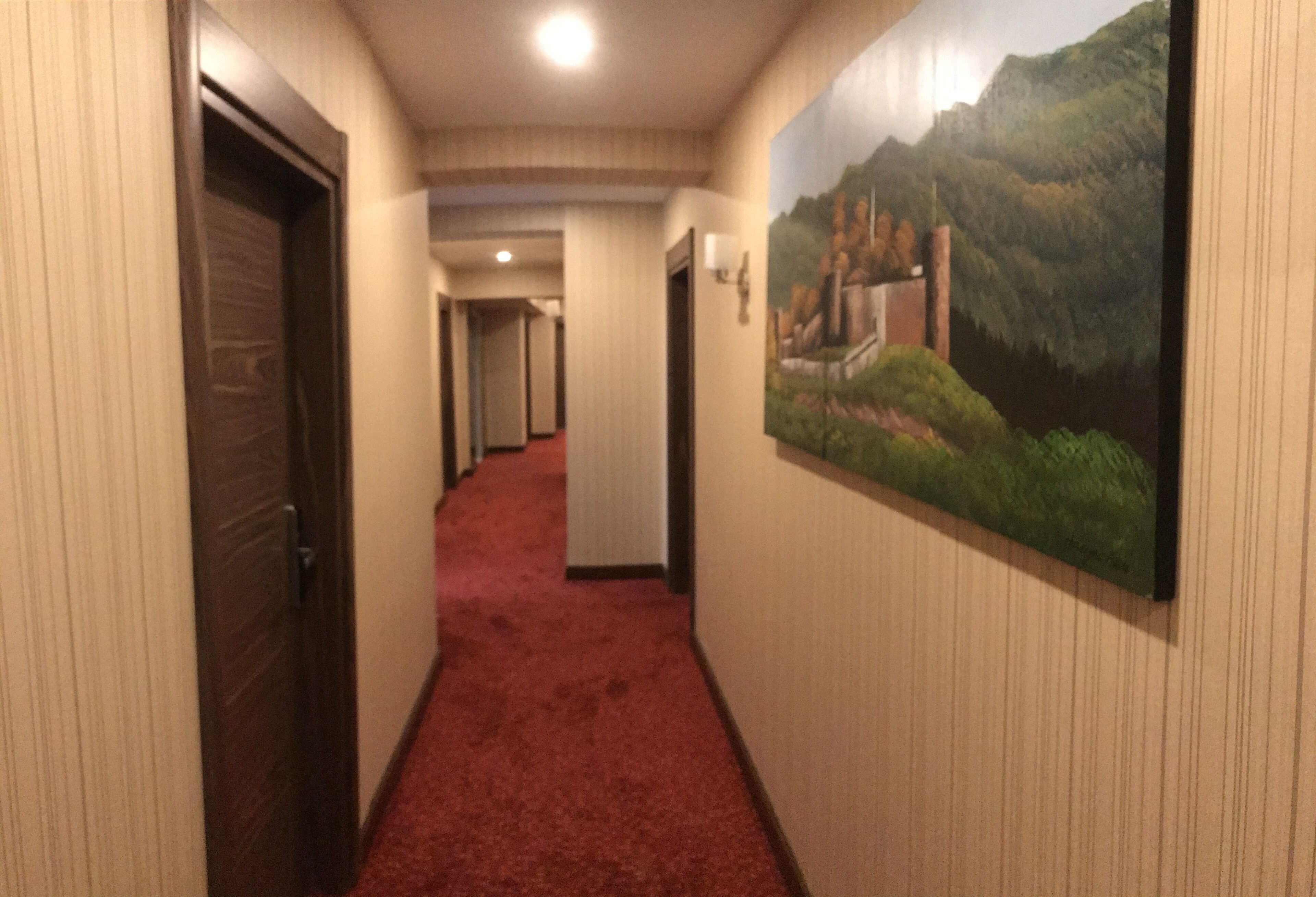 A hallway with a red carpet, wooden doors, and a mural on the wall.
