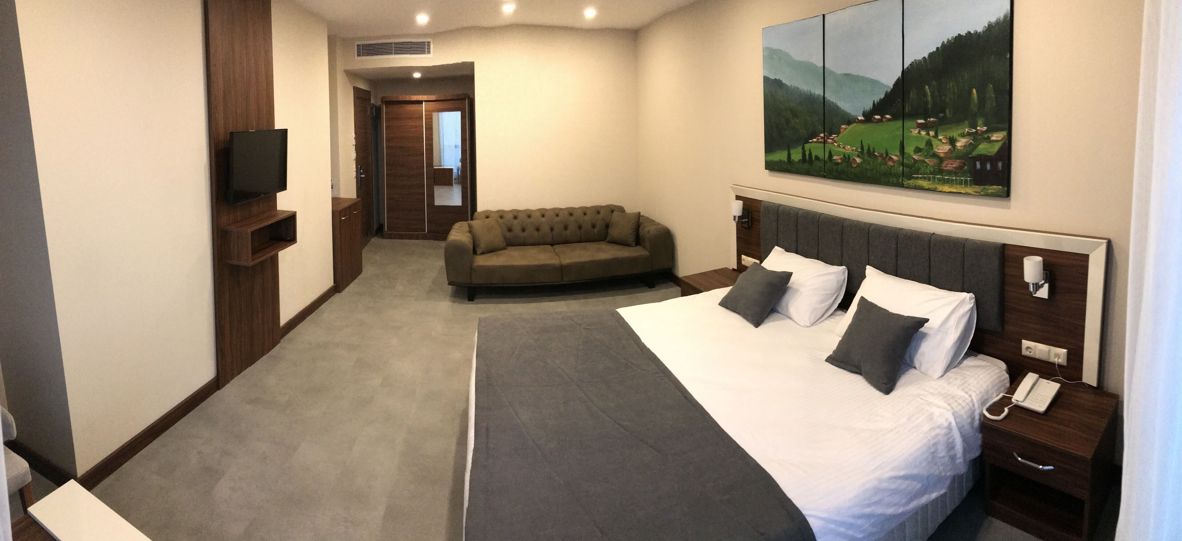 Habitación de hotel con una cama grande, un sofá, un televisor y un cuadro en la pared.