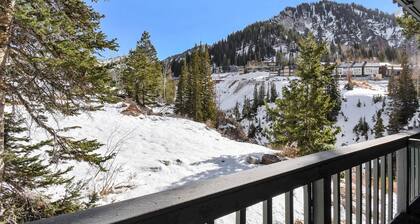 Alta Hellgate Condo: Between Snowbird & Alta, Hot Tub, BBQ, Free Parking, Hike & Ski Heaven!