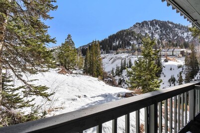 Alta Hellgate Condo: Between Snowbird & Alta, Hot Tub, BBQ, Free Parking, Hike & Ski Heaven!