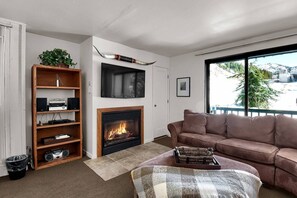 TV, fireplace, books, stereo
