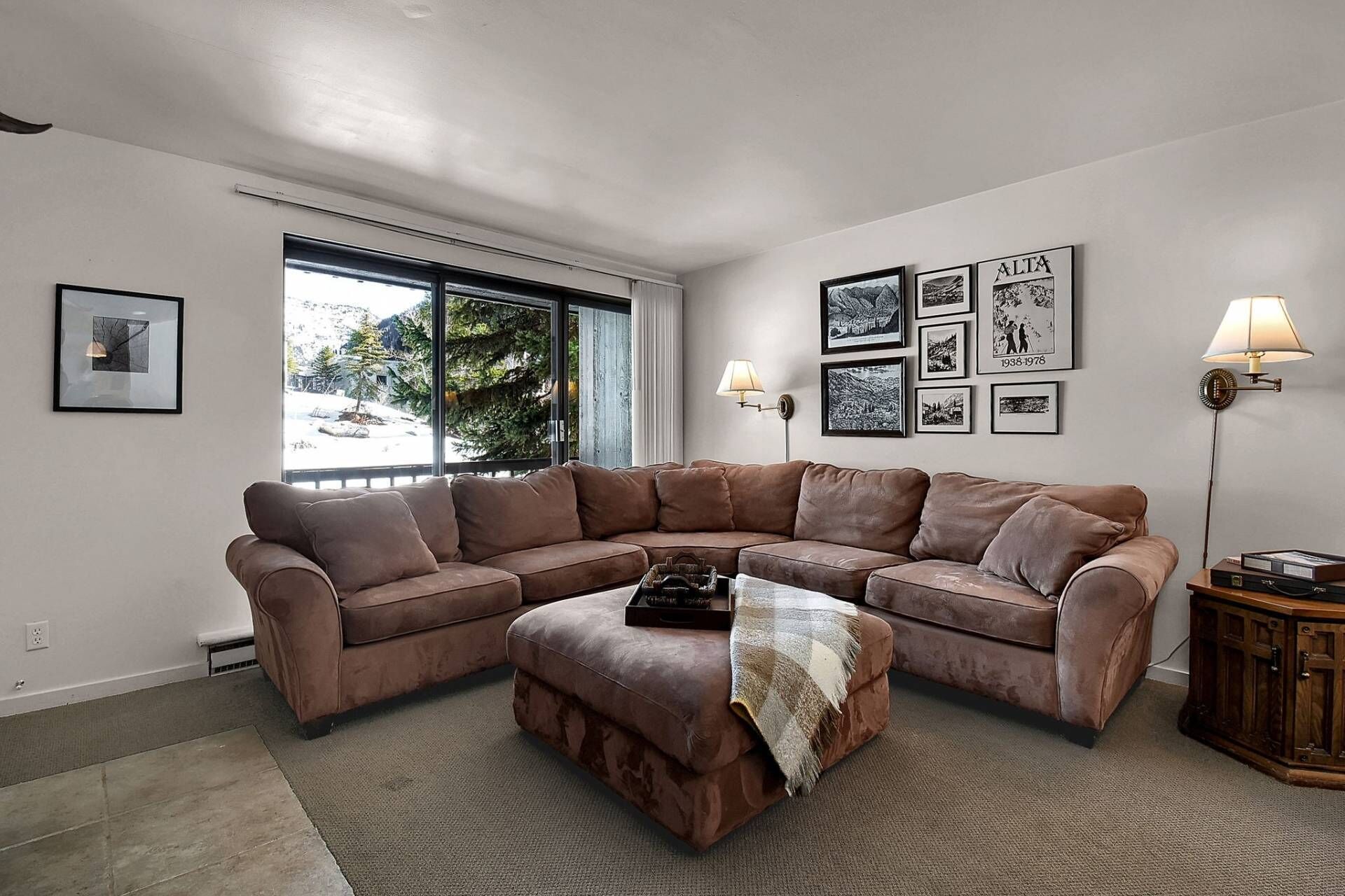 Televisión, chimenea, libros y estéreo 