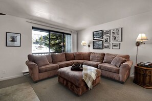 TV, fireplace, books, stereo