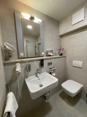 Shower, towels, toilet paper