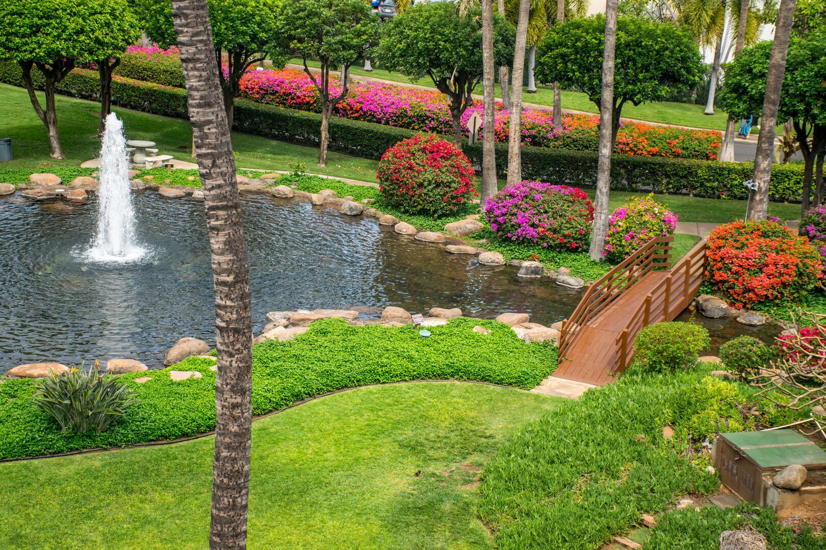 Um jardim paisagístico com lago, uma ponte de madeira e diversas plantas floridas.