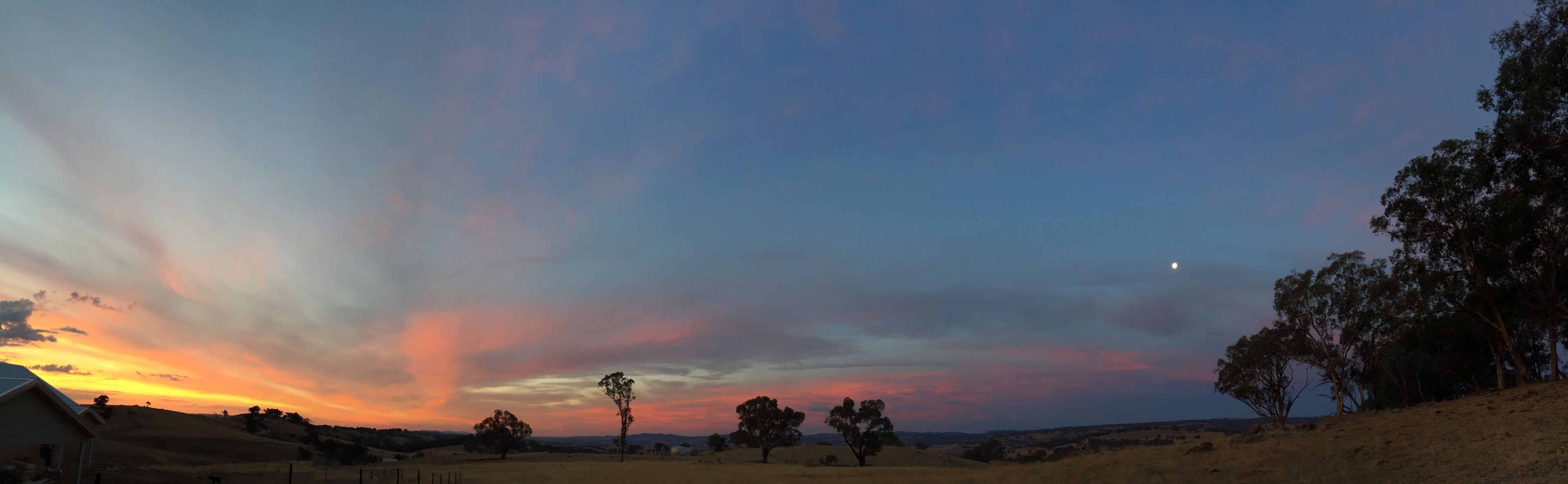 Un coucher de soleil sur un paysage rural, avec des arbres et une colline.
