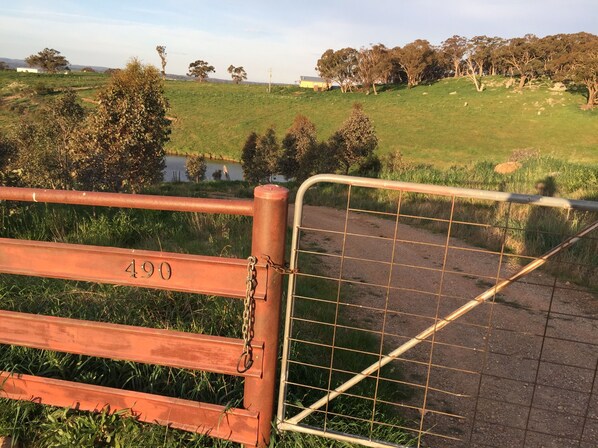 A rural landscape with a metal gate labeled "490" and a dirt path leading into a green field.