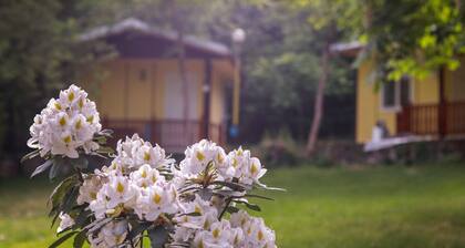 Bungalow for 2 or 3 persons in the lovely forest