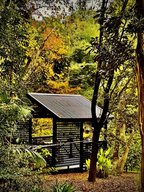 Property grounds - Berry Luxury Retreat  (Berry)
