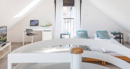 Newly Refurbished Loft Near City Center