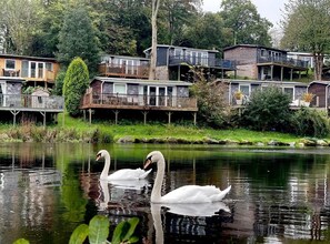 A lakeside property with multiple houses, some with balconies and wooden decks, surrounded by lush greenery and a calm lake with swans.