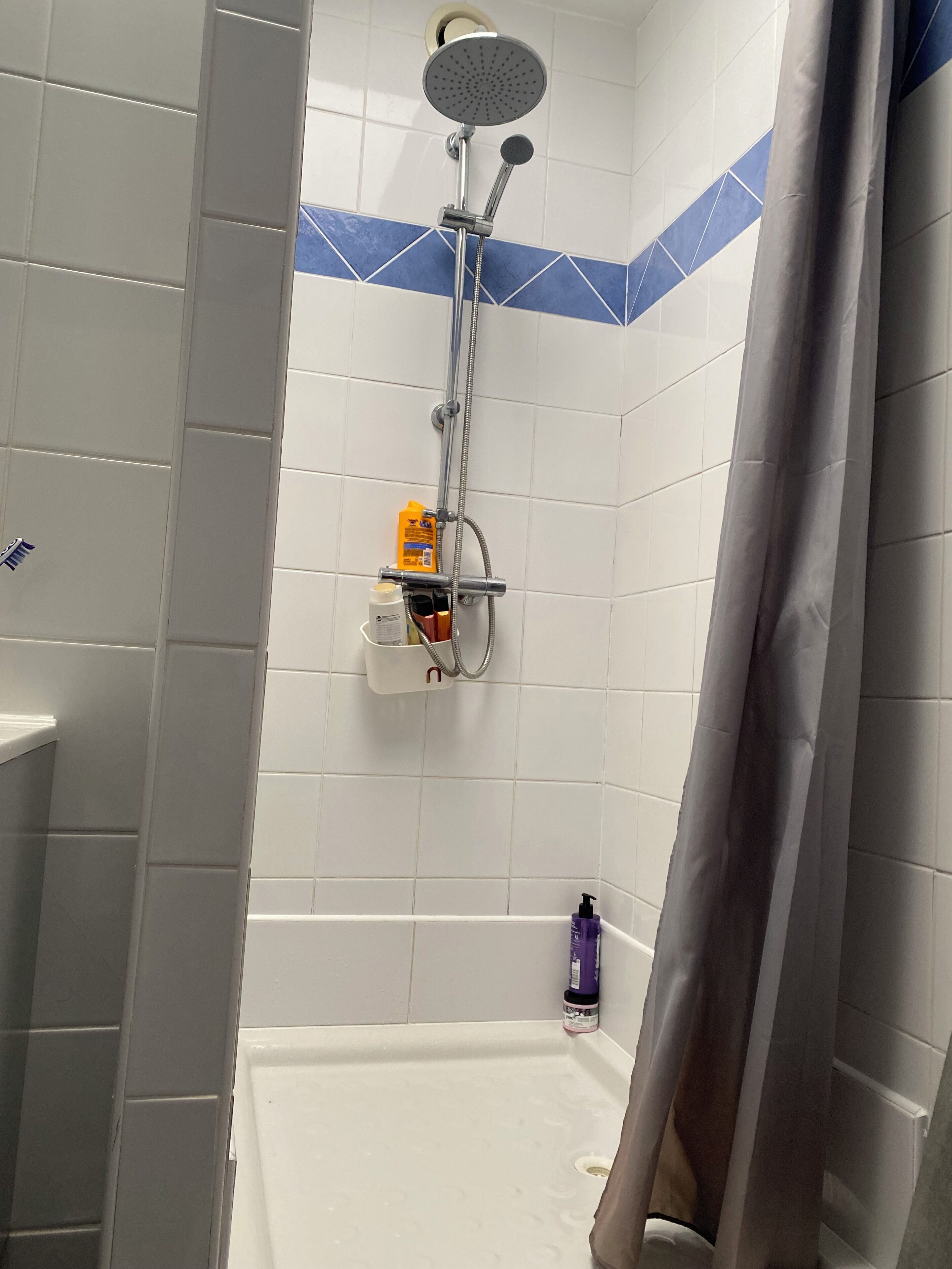 Een douche met een handdouche, een wandmengkraan en een douchemand met toiletartikelen.