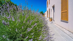 A building with a white facade, wooden shutters, and a pathway lined with lavender bushes. - Villa Roberta (Sveti Filip i Jakov)