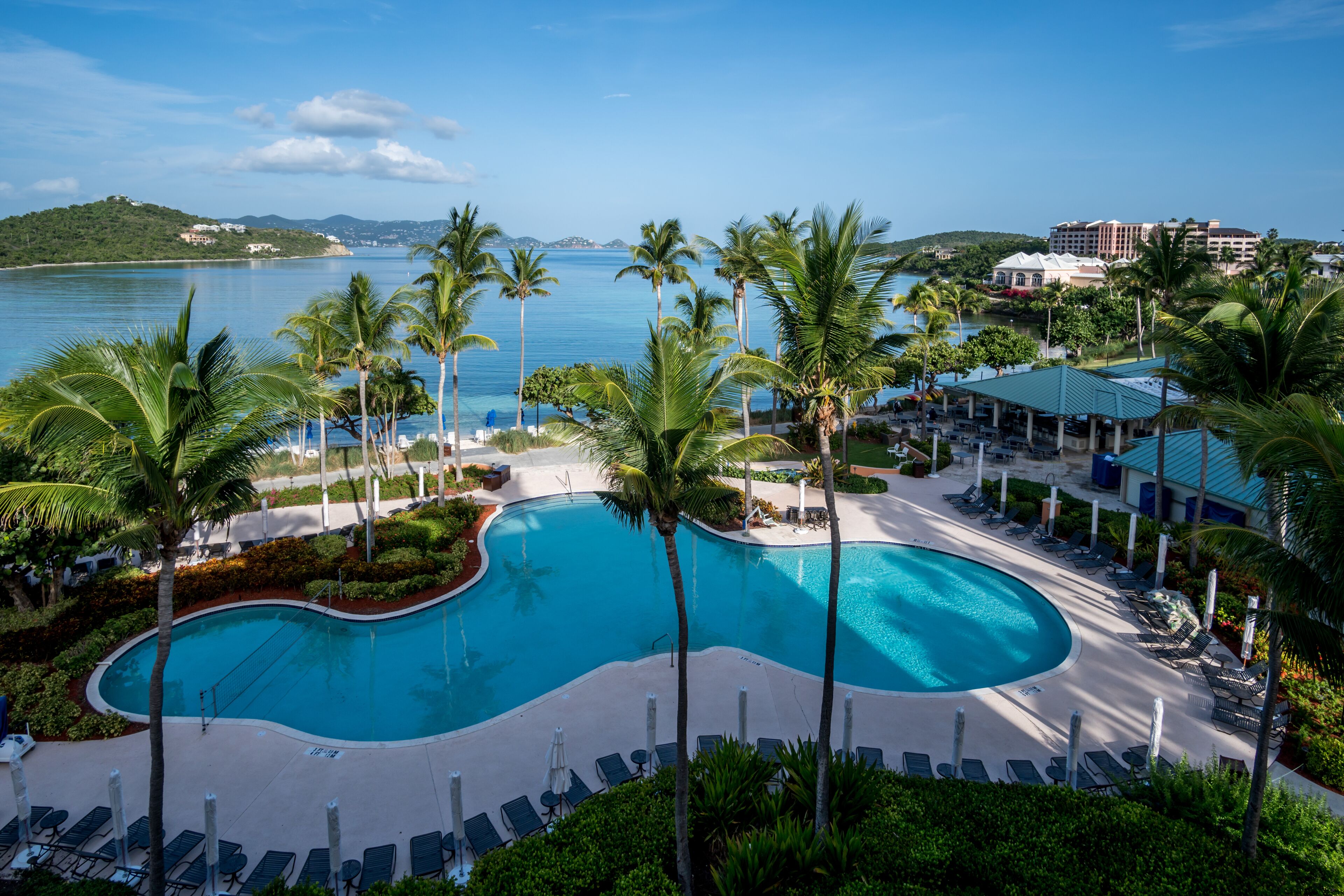 A resort pool with lounge chairs, palm trees, and a view of the sea.
