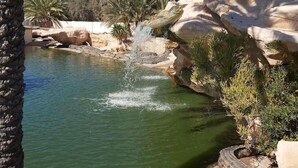 A crocodile enclosure with a water feature and rocky terrain. - Hotel Mizwar Djerba (Houmt Souk)