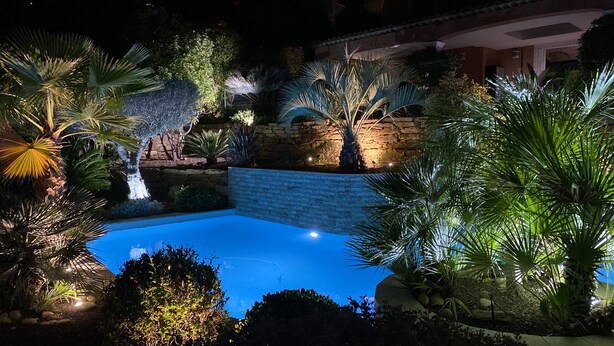 Ein Swimmingpool, umgeben von tropischen Pflanzen und einer Steinmauer.