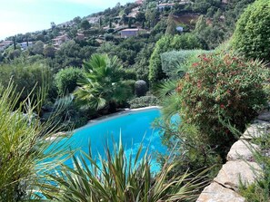 Alberca al aire libre 
