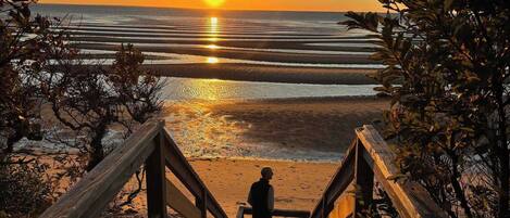 Beach nearby, beach umbrellas