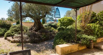 2 Mas haut de gamme avec piscine privée vues sur campagne et climatisation