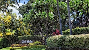 Un jardín bien cuidado con un cartel que dice 'Kihei Akahi', rodeado de abundante follaje y palmeras.