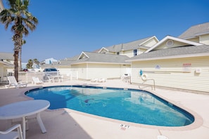 Relax by the pool surrounded by palm trees and lounge chairs.