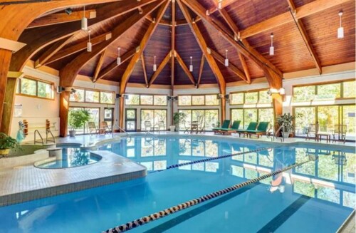 Modern Mountain Condo with Spa