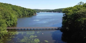 Un pont enjambant un lac, lui-même entouré d’une forêt dense.