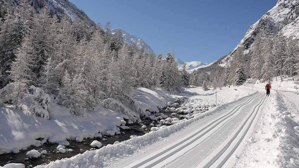 Hotel Müller by null