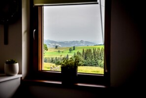 Mountain view - Apartamenty Dwupoziomowe Dwa Widoki Jacuzzi & Sauna (Poronin)