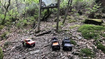Property grounds
