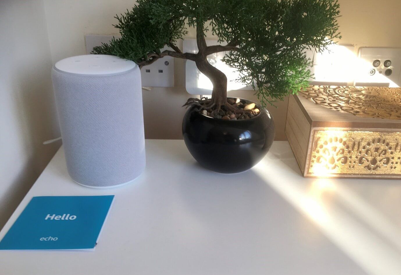 Taula blanca amb un altaveu blanc, un bonsai en test de color negre, i una targeta blava amb els textos “Hello” i “echo”.