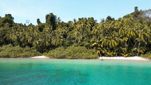 A tropical beach with clear turquoise waters, dense palm trees, and white sand. - Catalina's Hideaway (Hicaco)
