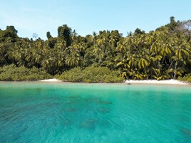 Actividades para niños