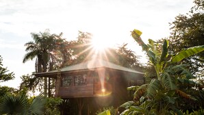 A wooden house with a sloped roof surrounded by lush tropical vegetation. - Catalina's Hideaway (Hicaco)