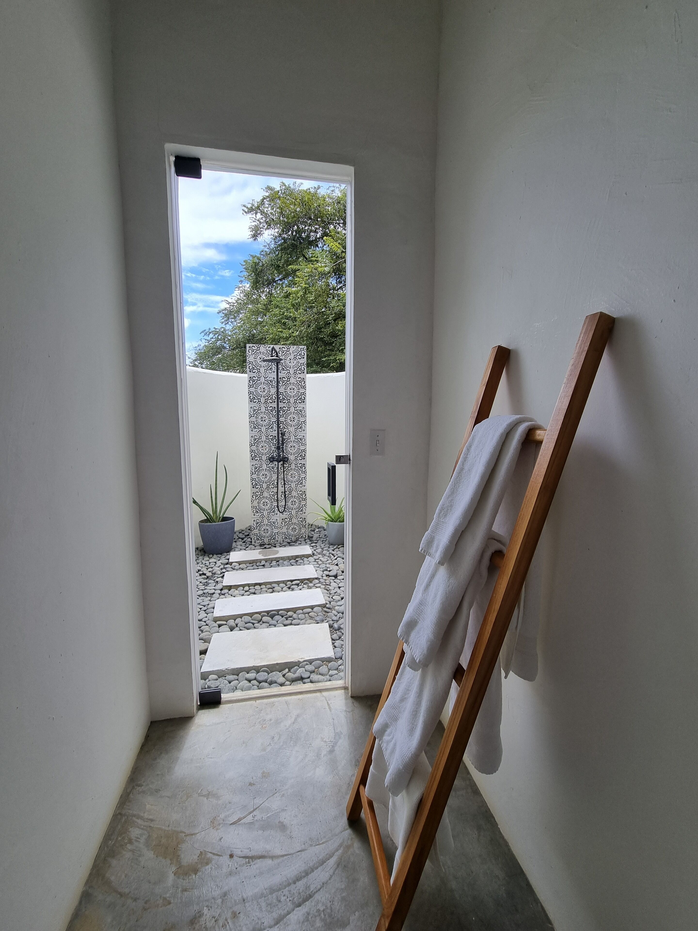 Un couloir menant à une porte, avec un porte-serviettes et une plante en pot.