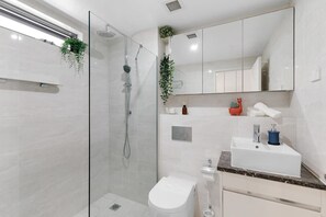 Shower, hair dryer, towels, soap