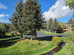 A residential area with a paved driveway, a small stream, and houses with balconies.
