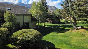 Quartiere residenziale con una casa dotata di pannello solare, un prato curato e montagne sullo sfondo.
